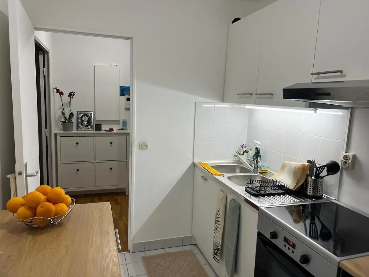 Homestay Entire Apartment With Terrace Paris France